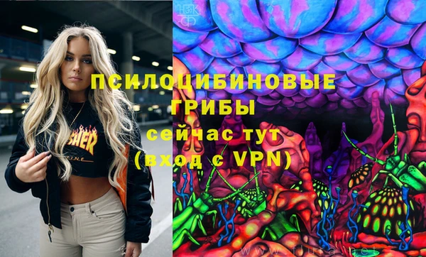 мдпв Слюдянка