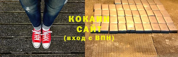 гашик Богородск