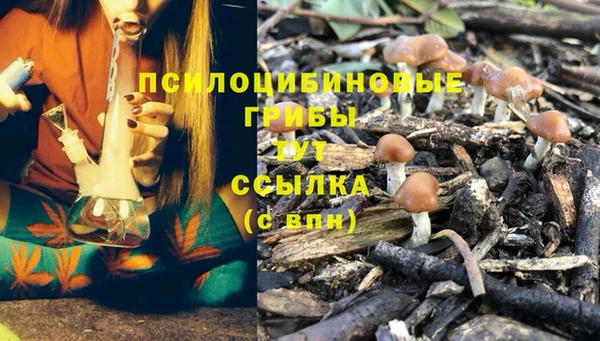 гашик Богородск