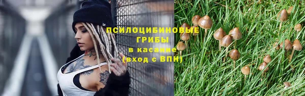 мет Богданович