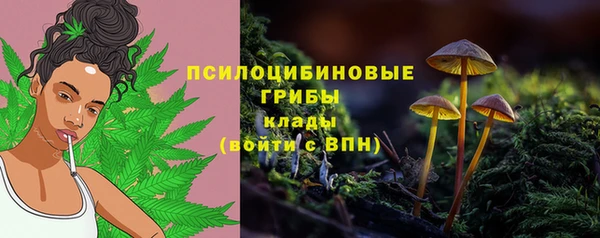 амфетамин Богородицк